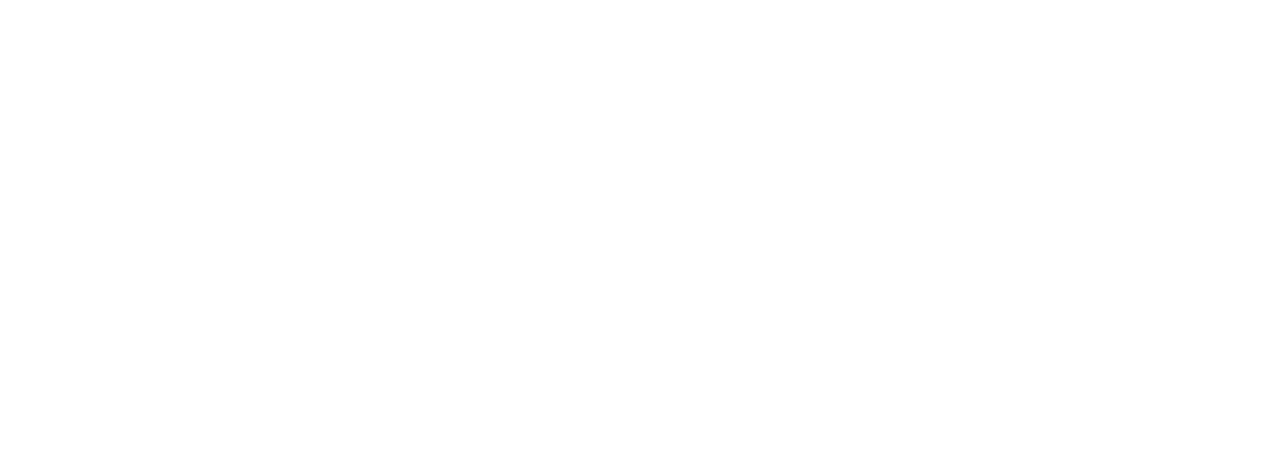 Figment Capital